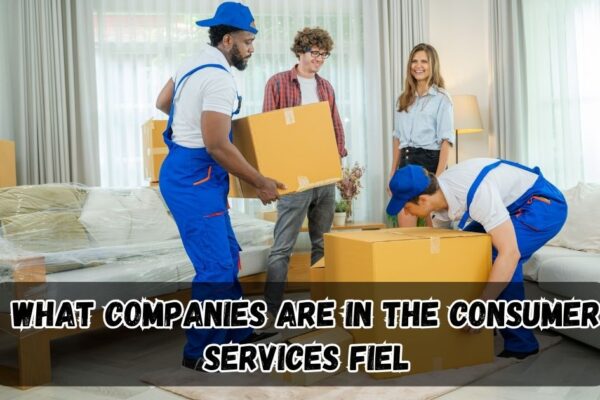 What Companies Are in the Consumer Services Field