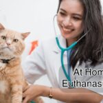 At Home Vet Euthanasia 87110