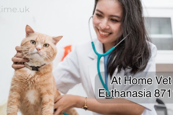 At Home Vet Euthanasia 87110