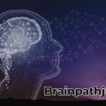 Brainpathjunction