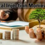 Capital Injection Monievest