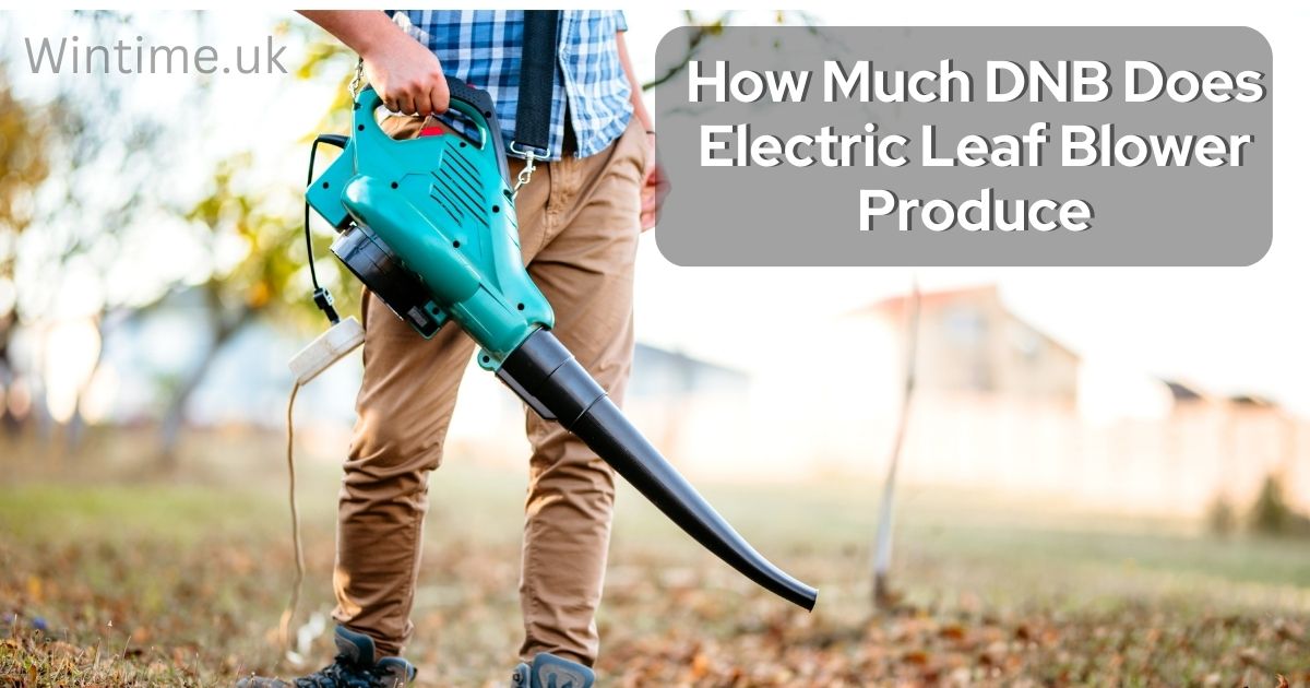 How Much DNB Does Electric Leaf Blower Produce