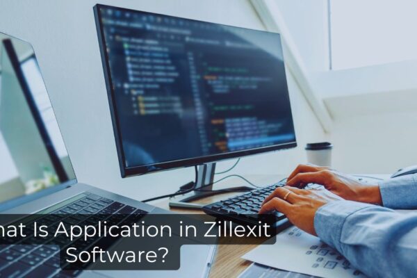 What Is Application in Zillexit Software