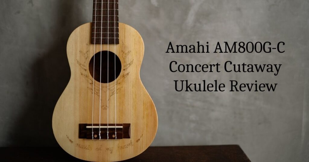 Amahi AM800G-C Concert Cutaway Ukulele Review